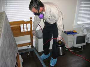 Bed Bug Heat Treatment