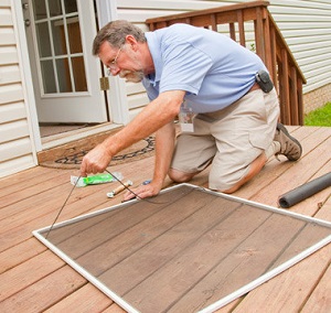 Controlling Stink Bugs