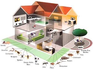 Reliable Pest Control Company