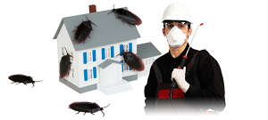 Reliable Pest Control Company