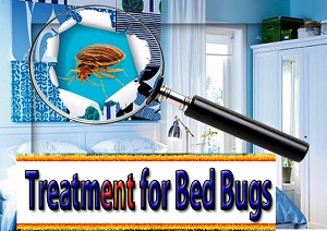 Temporary Treatment for Bed Bugs