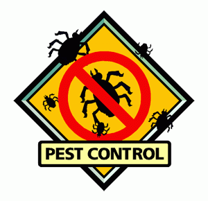 Pest control has