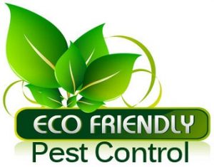Working for Green Pest Control
