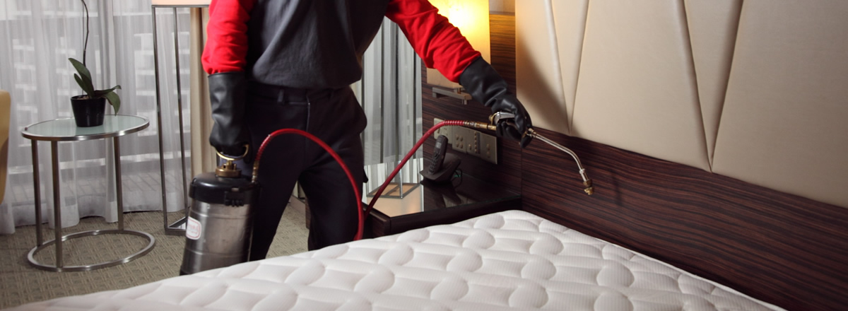 Bed Bug Control